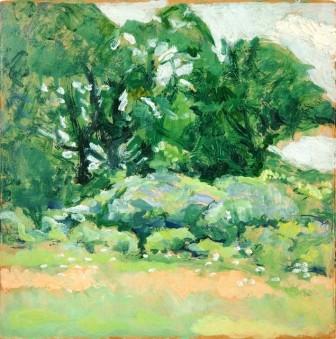 34.103 Untitled foliage