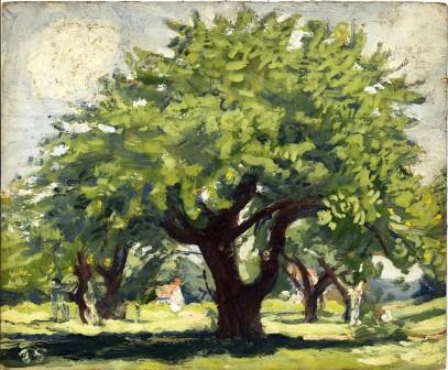 35.27 Untitled Apple Tree